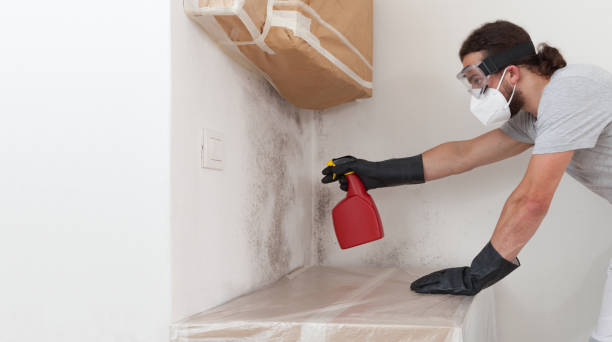 Professional Basement Mold Removal technician working in Red Bank, NJ