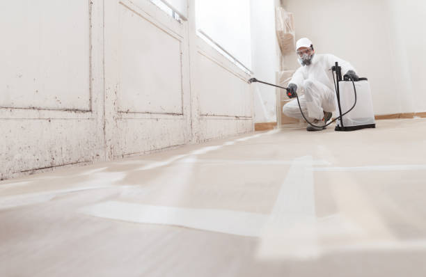 24/7 Emergency Basement Mold Removal experts in Red Bank, NJ